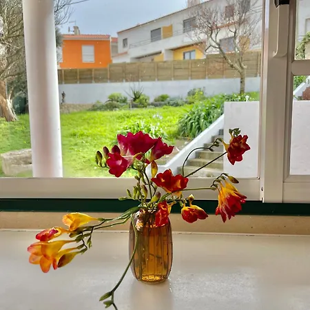 Sunny Minutes From The *